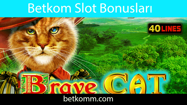 Betkom slot bonusları ile üyelerine ciddi destek vermektedir.